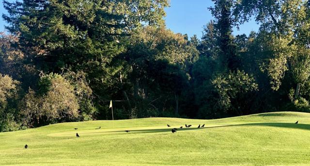 23799 Slns-Mty Highway, Salinas CA: https://media.crmls.org/mediaz/ae81c5a9-c203-4816-9bb5-72d7c7ccdfaf.jpg