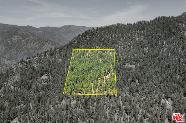 15050 Scott Bar Mountain Lookout Road, Fort Jones CA: https://media.crmls.org/mediaz/ae84dbe4-ed6d-43d3-b690-11267e870fef.jpg