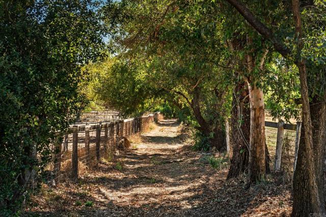 Detail Gallery Image 31 of 57 For 19010 Paradise Mountain Road, Valley Center,  CA 92082 - 3 Beds | 2 Baths