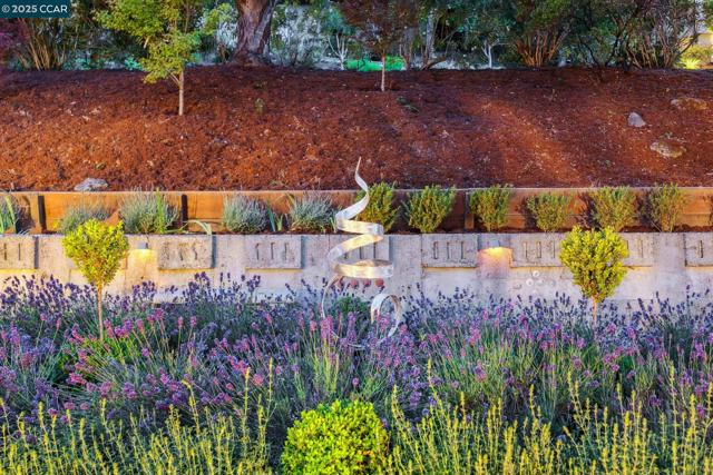 6 Greenwood Ct, Orinda CA: https://media.crmls.org/mediaz/ae8b394a-dee9-4e34-9b24-3d43a25fca3e.jpg