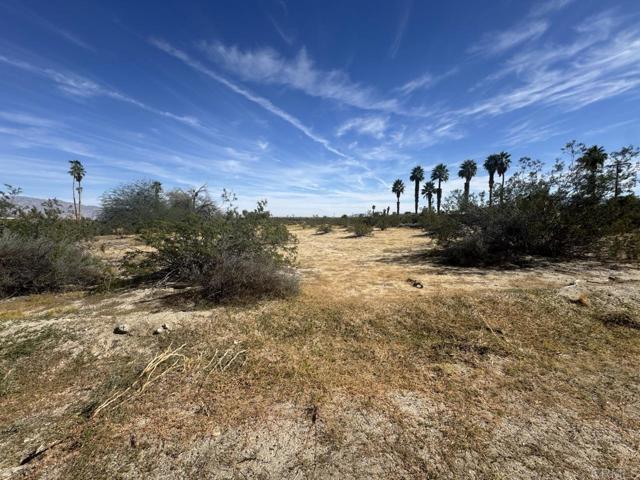 Detail Gallery Image 21 of 33 For 0 Verbena Dr, Borrego Springs,  CA 92004 - – Beds | – Baths