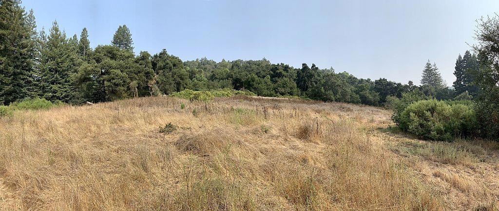 MLS #ML81810757 image #66