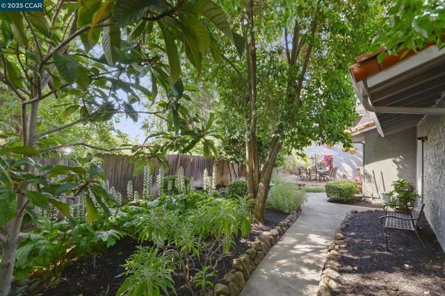 1020 Molad Ct, Concord CA: https://media.crmls.org/mediaz/ae9e5c20-fdd4-4adb-ba51-678029e782f1.jpg