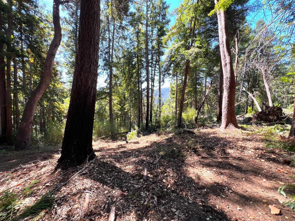 MLS #ML81973209 image #22