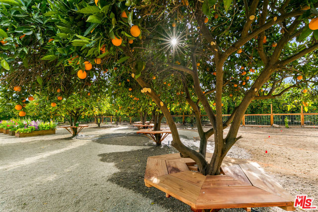 Image 14 of 70 For 828 Fordyce Rd & 2561 Grand Avenue