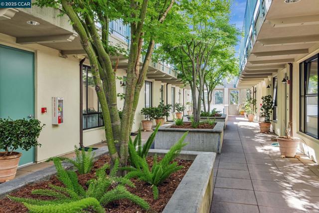 4395 Piedmont Ave, Oakland CA: https://media.crmls.org/mediaz/aeb36821-4d6c-4bd3-b106-45c5d2b7e195.jpg