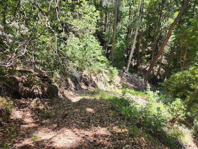 510 East Road, Boulder Creek CA: https://media.crmls.org/mediaz/aeb572ba-5401-42b6-b678-f48d752284e3.jpg