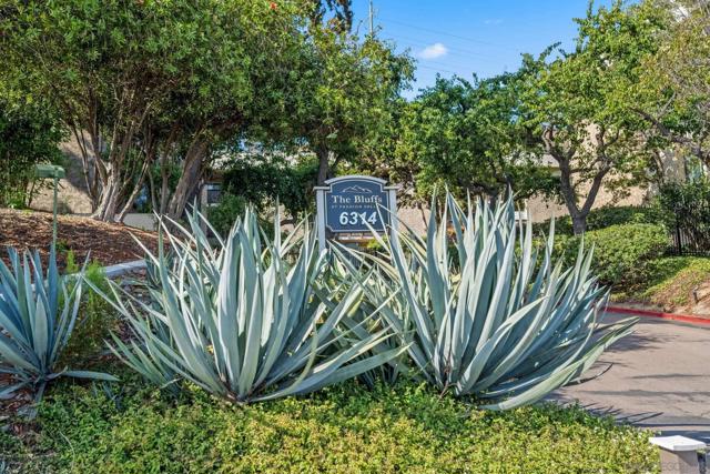 6314 Friars Rd, San Diego CA: https://media.crmls.org/mediaz/aeb7b6af-2728-4bf8-a22f-e359e5112710.jpg