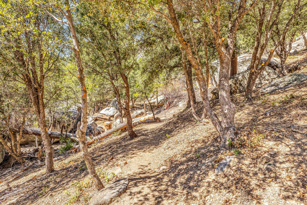 https://media.crmls.org/mediaz/aebe46a1-20ed-4d17-80d9-3b8f09b80e42.jpg?preset=X-Large