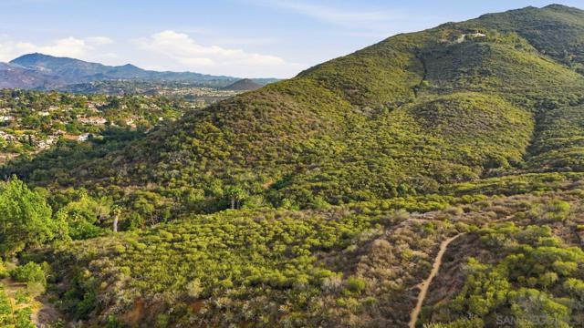 MLS #250044006SD image #71