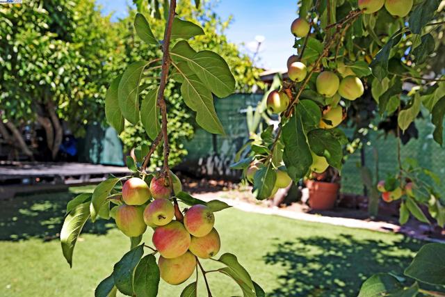 2309 High St, Oakland CA: https://media.crmls.org/mediaz/aed599fc-67c3-42d3-80ed-af7c676aa822.jpg