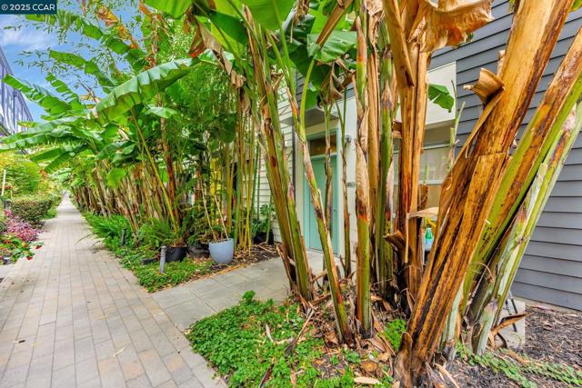 1231 Pine St, Oakland CA: https://media.crmls.org/mediaz/aed9a9c1-81b0-4b56-a410-77468064dcc9.jpg