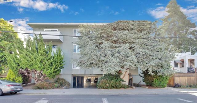 415 Cornell Ave, Albany CA: https://media.crmls.org/mediaz/aed9df42-2683-4899-8c2e-3d33e353d73e.jpg