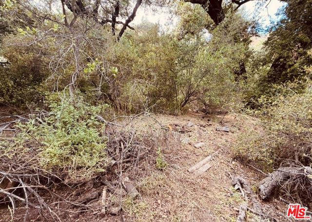 0 Red Rock Road photo 52