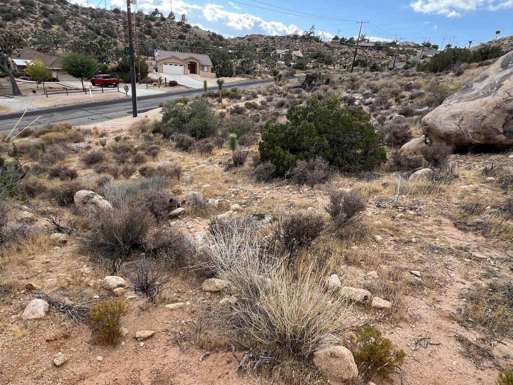 MLS #219138996DA image #3