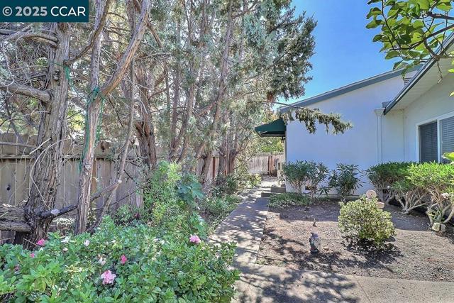 2465 Buena Vista Ave, Walnut Creek CA: https://media.crmls.org/mediaz/aee4d2b3-5430-4f27-8e9a-19556d3e6656.jpg
