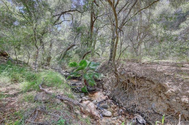 0 Camino Estribo, Temecula CA: https://media.crmls.org/mediaz/aee66d9c-4c63-4d7a-8494-91175095bb0a.jpg