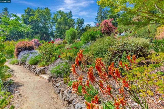 23 El Verano, Orinda CA: https://media.crmls.org/mediaz/aee88894-63a0-4522-8396-7992b385ff08.jpg