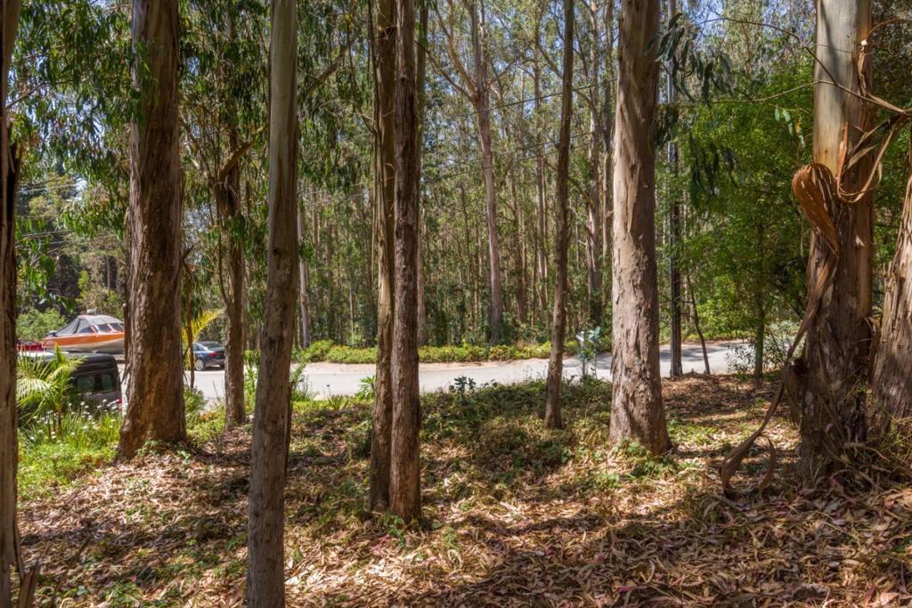 MLS #ML82001283 image #9