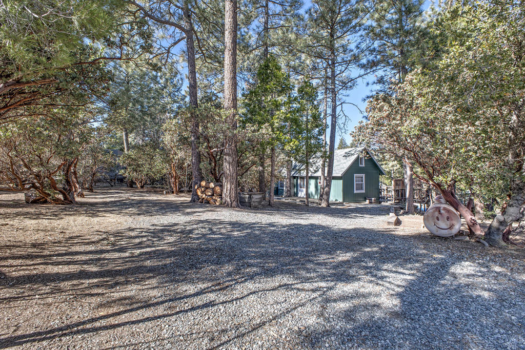 53460 Double View Drive, Idyllwild, CA 92549
