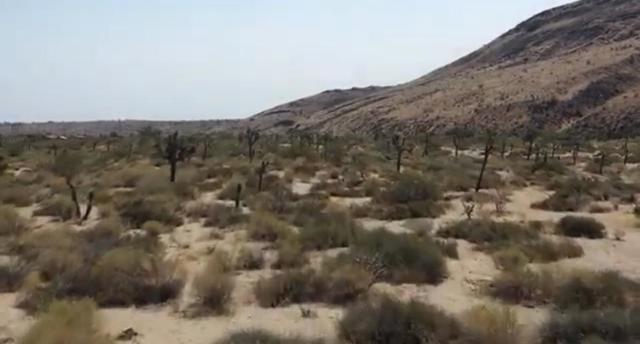 55455 Pipes Canyon, Pioneertown CA: https://media.crmls.org/mediaz/aefc719d-6587-4656-8f9e-500208524fd4.jpg