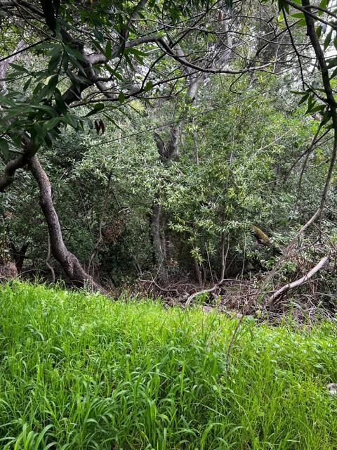 MLS #ML81959106 image #13