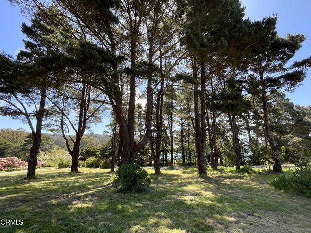 45300 Headlands Drive, Mendocino CA: https://media.crmls.org/mediaz/af063430-4b87-455e-9112-a7897fdee6f0.jpg