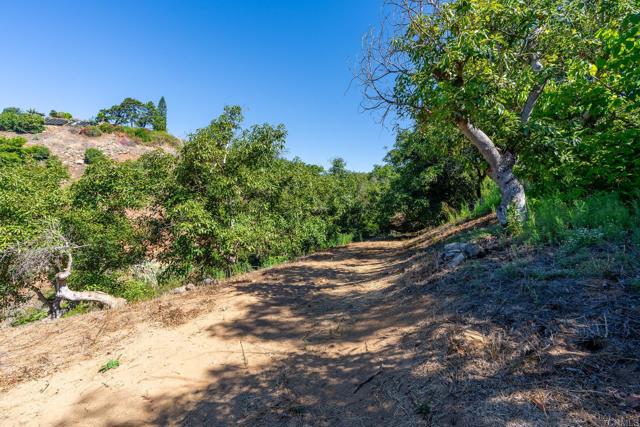 0 Wilt Road, Fallbrook CA: https://media.crmls.org/mediaz/af0cd011-d3c9-45fb-bdfa-dd0eaaf52b76.jpg