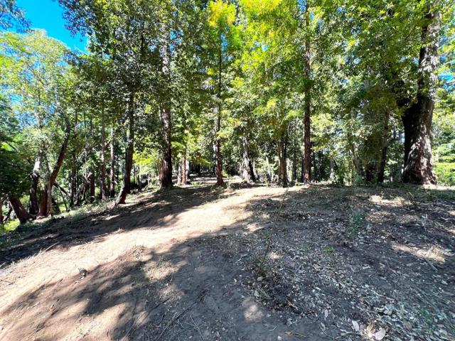 0 E Hilton, Boulder Creek CA: https://media.crmls.org/mediaz/af111d71-fdcb-4915-b4d6-1e762da24759.jpg