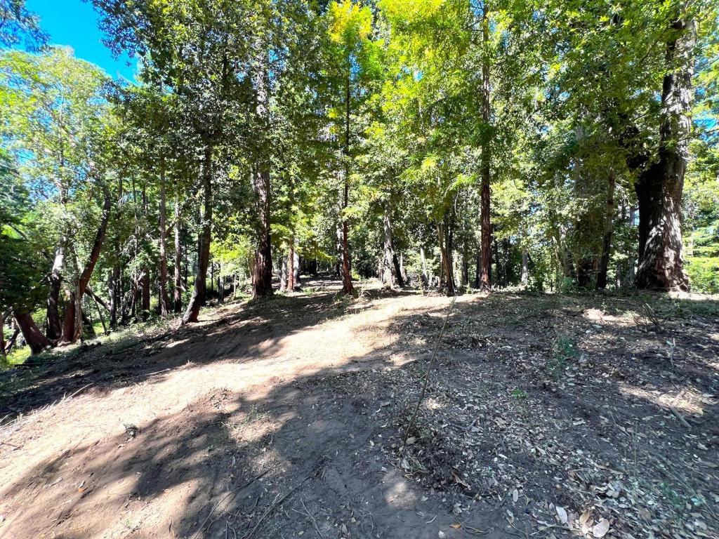 MLS #ML81973209 image #28