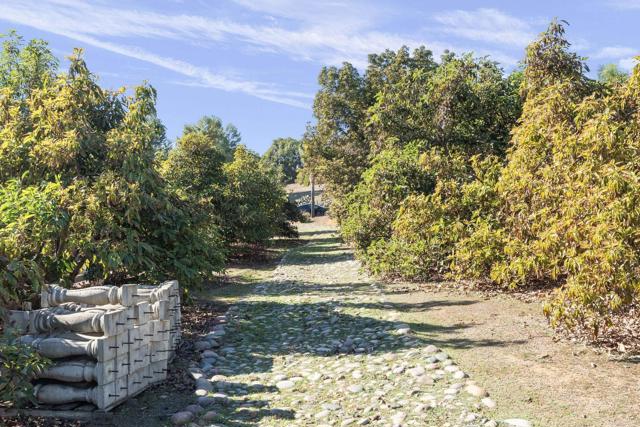 Detail Gallery Image 65 of 73 For 15141 Post Oak Ln, El Cajon,  CA 92021 - 3 Beds | 3/1 Baths