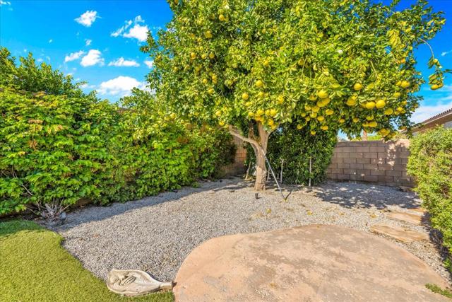 44875 Via Catalina, La Quinta CA: https://media.crmls.org/mediaz/af202864-04bd-4076-9bd6-684831bc57e0.jpg