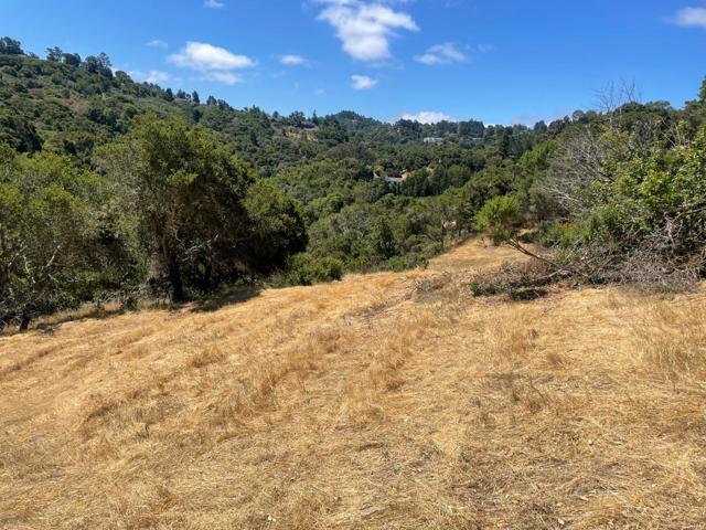 0 Tartan Trail Road, Hillsborough CA: https://media.crmls.org/mediaz/af2b2576-75a1-4c9d-b138-d1f9546a3784.jpg