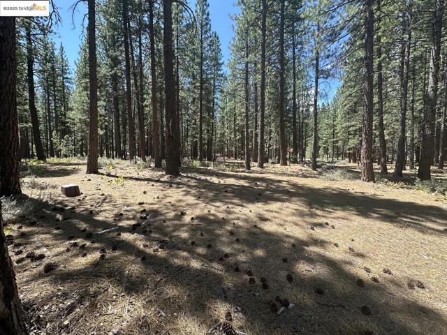 45 Claireville RD, Portola CA: https://media.crmls.org/mediaz/af2e63ce-703c-4c8c-97da-931c7a064642.jpg