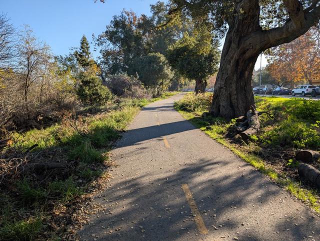 6937 Rodling Drive, San Jose CA: https://media.crmls.org/mediaz/af2ecdd6-cc8f-49a0-9449-d07cc46ba576.jpg