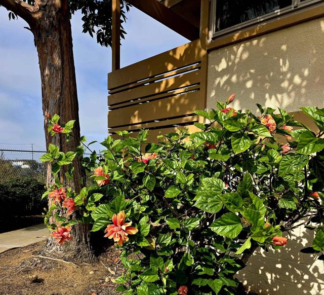 Detail Gallery Image 3 of 38 For 2666 Worden #8,  San Diego,  CA 92110 - 2 Beds | 1/1 Baths