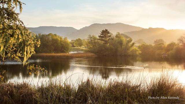 3 Via Vaquera, Carmel CA: https://media.crmls.org/mediaz/af494b91-7e50-4372-b6b1-c6354223f677.jpg