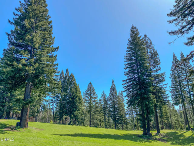Detail Gallery Image 39 of 49 For 13740 Peregrine Rd, Boonville,  CA 95415 - – Beds | – Baths