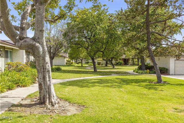 658 Holly Avenue, Oxnard CA: https://media.crmls.org/mediaz/af55e4f4-ad6c-4b69-a7a3-6103df54b994.jpg