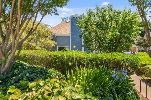 960 Oak Park Drive, Morgan Hill CA: https://media.crmls.org/mediaz/af5d73fc-7c48-4693-b684-8bbb08400f03.jpg