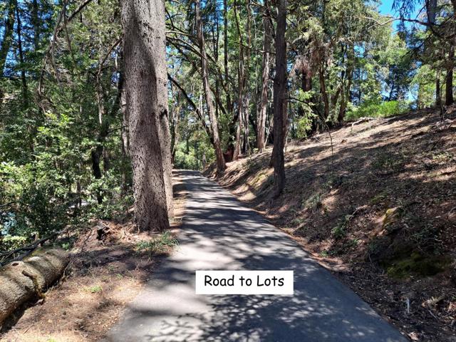 12500 Fox Run, Los Gatos CA: https://media.crmls.org/mediaz/af6e6385-06f5-43e6-8bd3-474874e6bbfa.jpg
