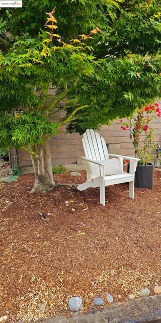 1130 Derby St, Berkeley CA: https://media.crmls.org/mediaz/af77cf96-829e-4896-9423-74742e49e5b7.jpg