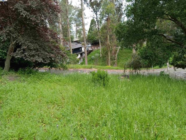 1375 Queens Road, Berkeley CA: https://media.crmls.org/mediaz/af78fcbe-e253-4d11-bbb1-26f30bd1065f.jpg