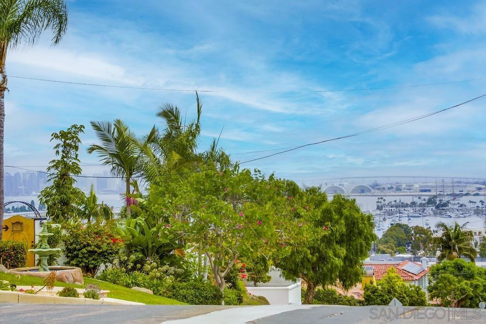 MLS #250036039SD img 59