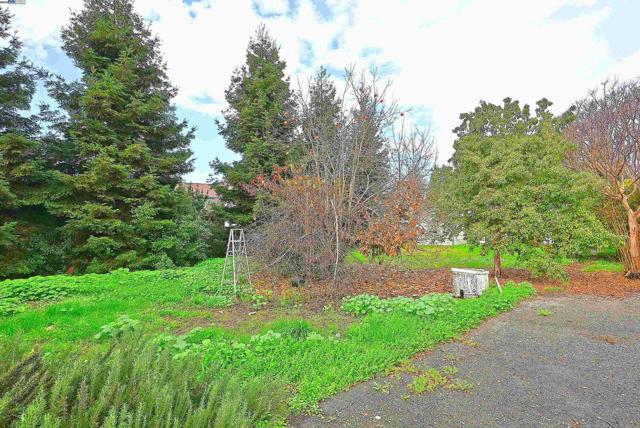 Image 44 of 51 For 181 Lewelling Blvd