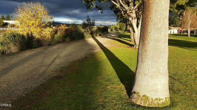 Detail Gallery Image 44 of 49 For 182 Rancho Adolfo Dr #83,  Camarillo,  CA 93012 - 2 Beds | 2 Baths