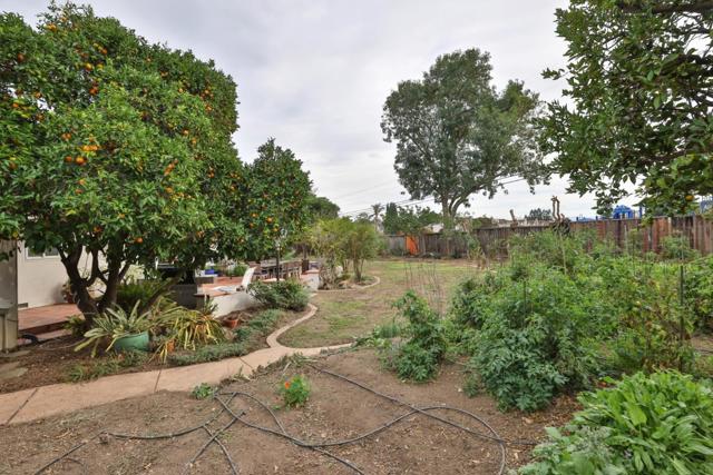 MLS #ML82027381 image #20