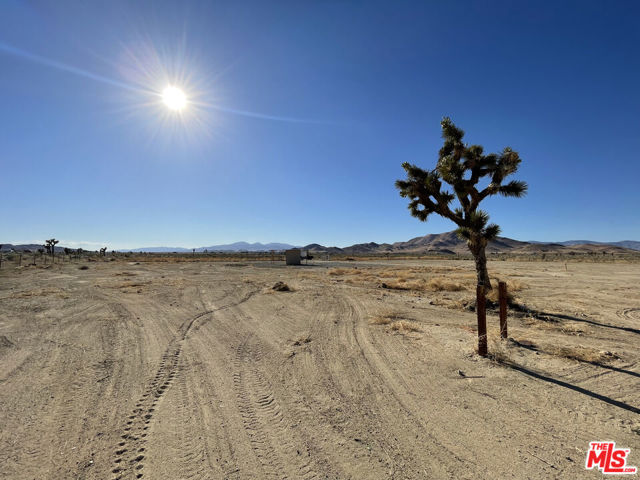8144 Jefferson Street, Mojave CA: https://media.crmls.org/mediaz/afa225fd-fcc0-47eb-8d0c-b24af0a21abc.jpg