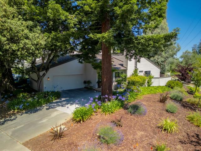 419 Clearview Drive, Los Gatos CA: https://media.crmls.org/mediaz/afa9eb18-c328-4b4b-b86e-287db54265e2.jpg