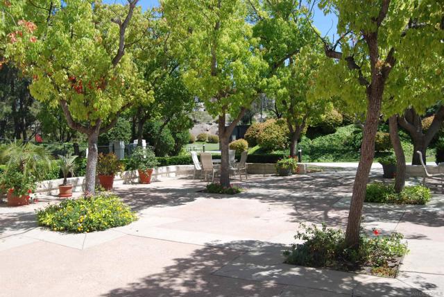 16071 Sun Summit Pt, San Diego CA: https://media.crmls.org/mediaz/afaaacf8-6cb6-4049-adca-8277459e6bfe.jpg
